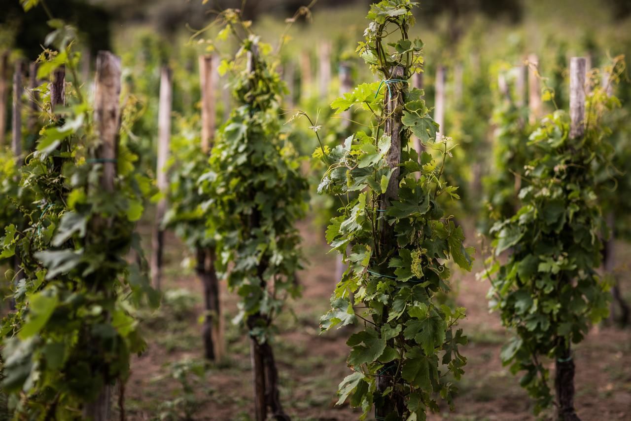 Capofaro Locanda & Malvasia Malfa  Buitenkant foto